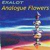 Exalot :: Analogue Flowers