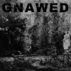 GNAWED: Feign And Cloak