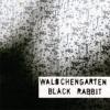 WLDCHENGARTEN: Black Rabbit