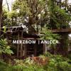 MERZBOW: Anicca