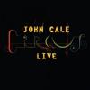 JOHN CALE: Circus Live