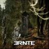 Ernte: Sonnenwende 7inch