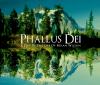PHALLUS DEI: A Day In The Life Of ...